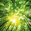Papier naturel et recyclé